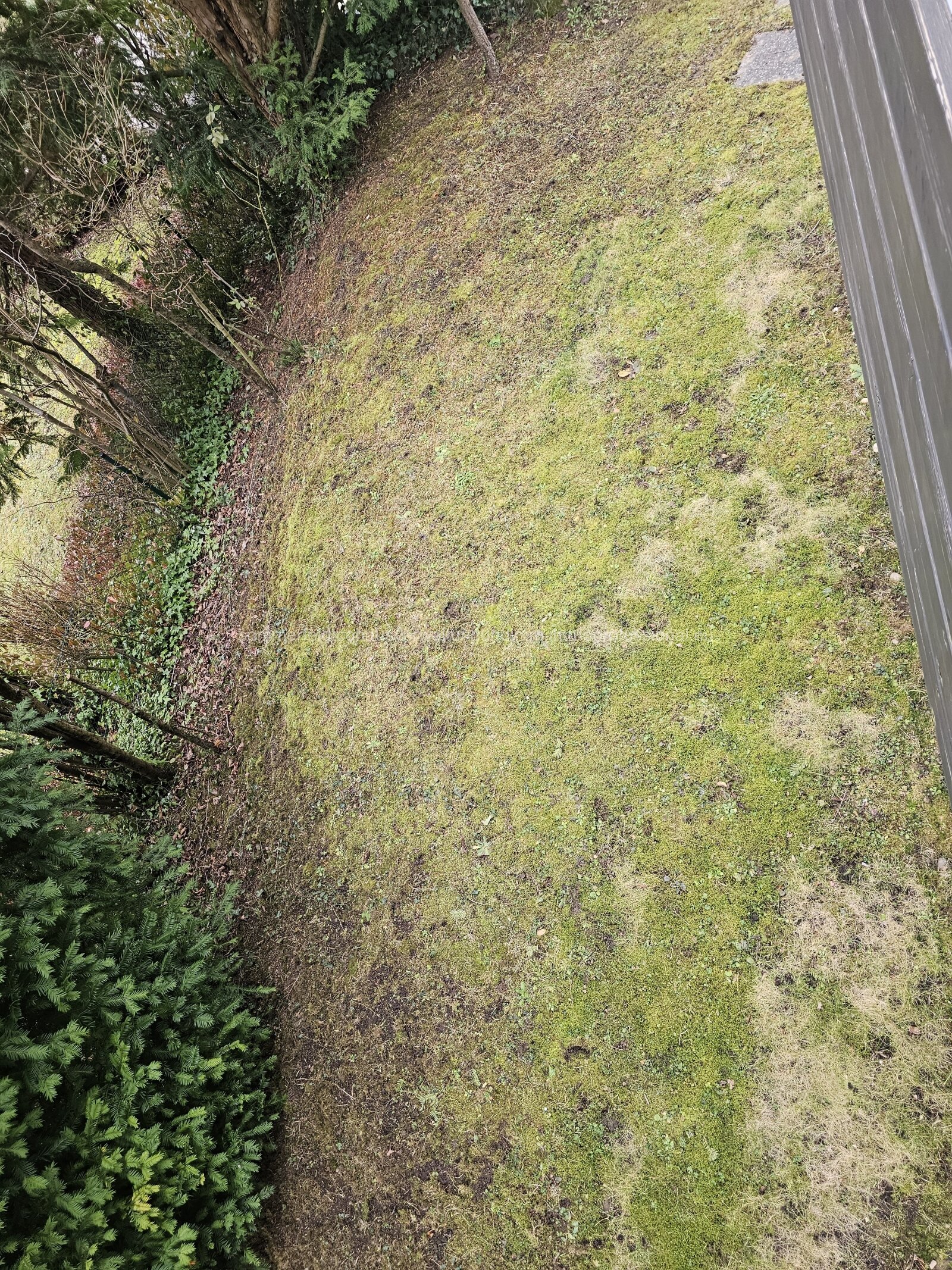 Ihr neues Zuhause im Herzen von Pforzheim-Rodgebiet – Moderne 3ZKB mit Balkon und Garten