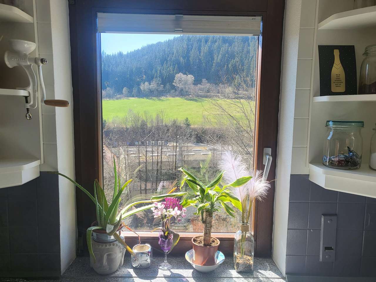 Provisionsfrei ! 1FWH mit ELW zum Preis einer Wohnung mit Garten und Terrasse!