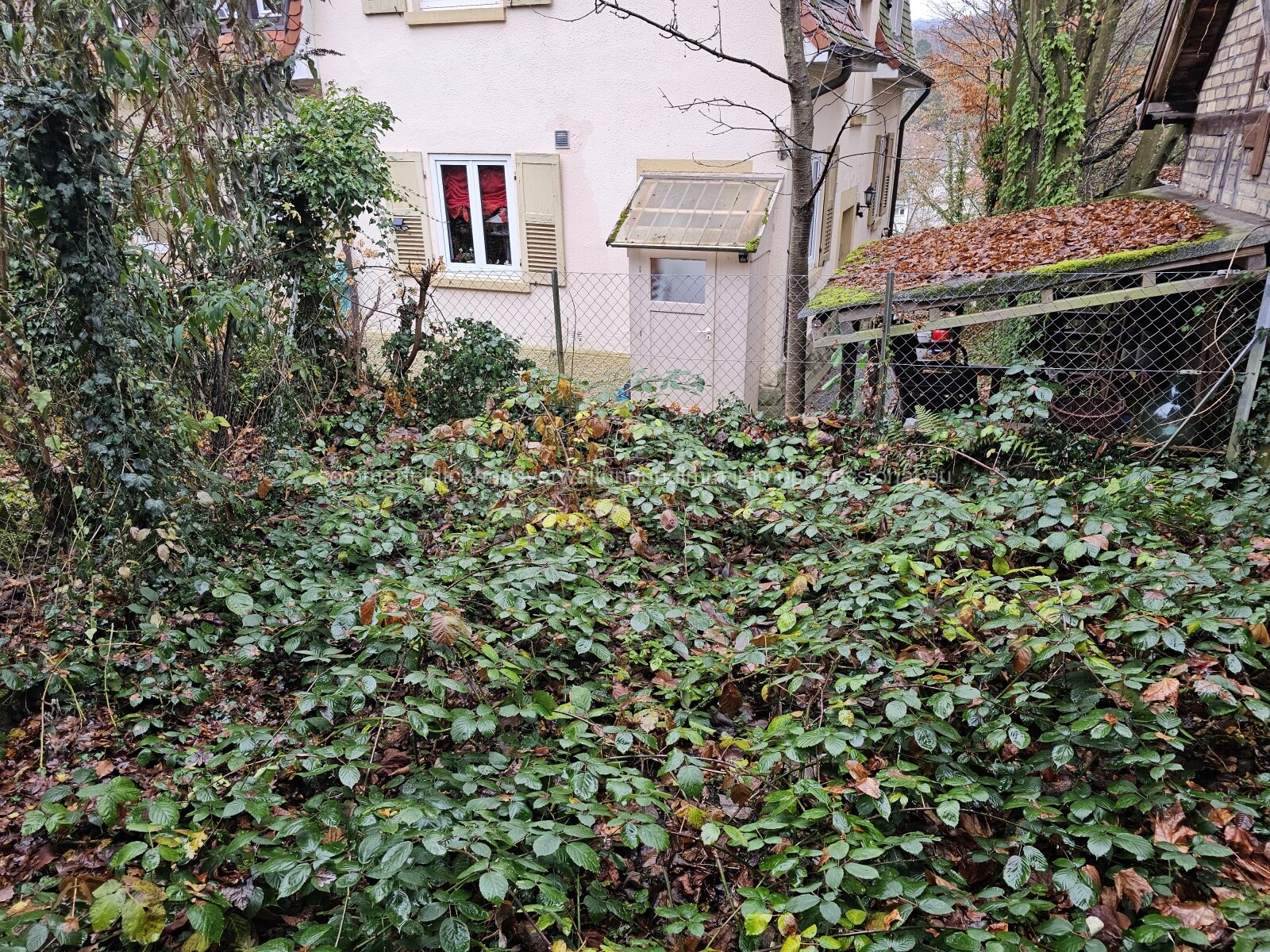 2-3 Familien-Wohnhaus in toller Lage (Südweststadt)