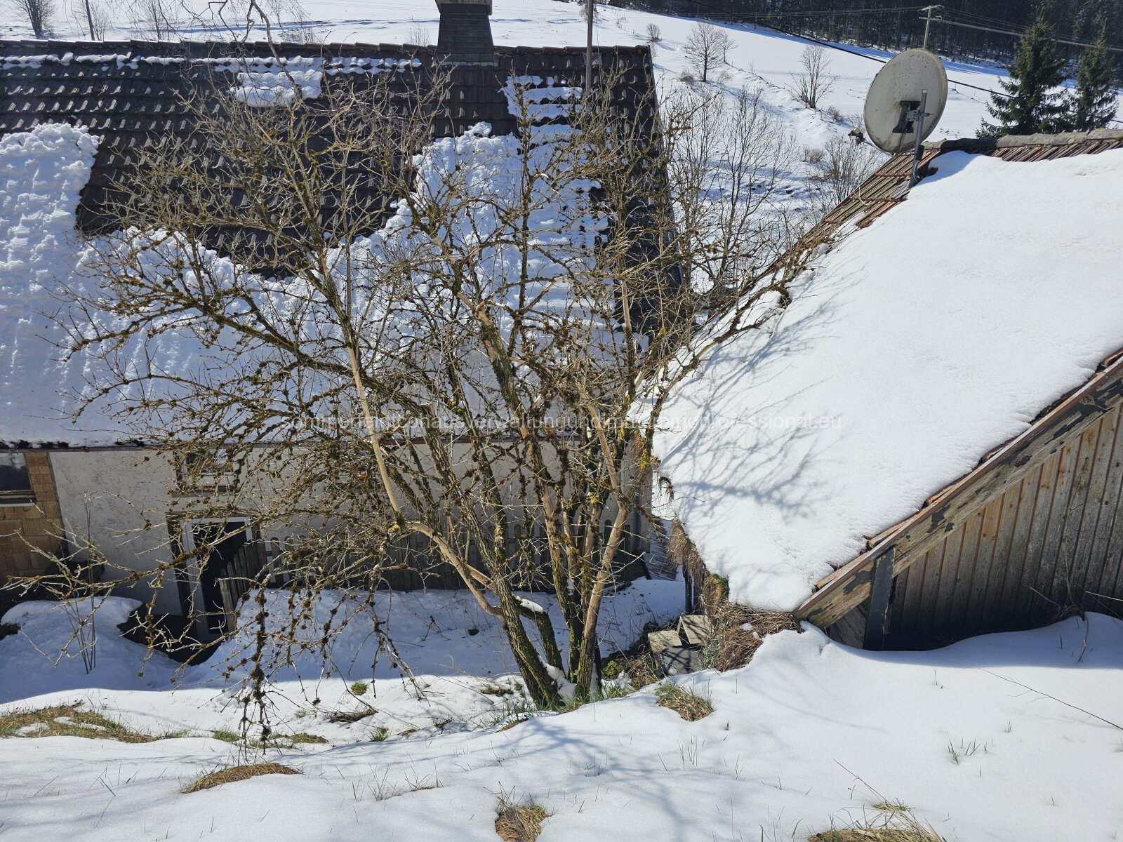 1-2 Familienwohnhaus - Naturidylle garantiert!