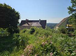 Ausblick Ausblick