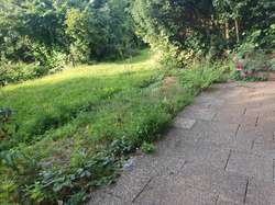 Garten Garten