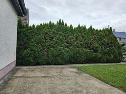 Garten Garten