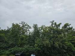 Ausblick Ausblick