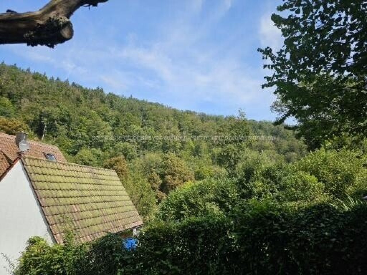 Aussicht Aussicht