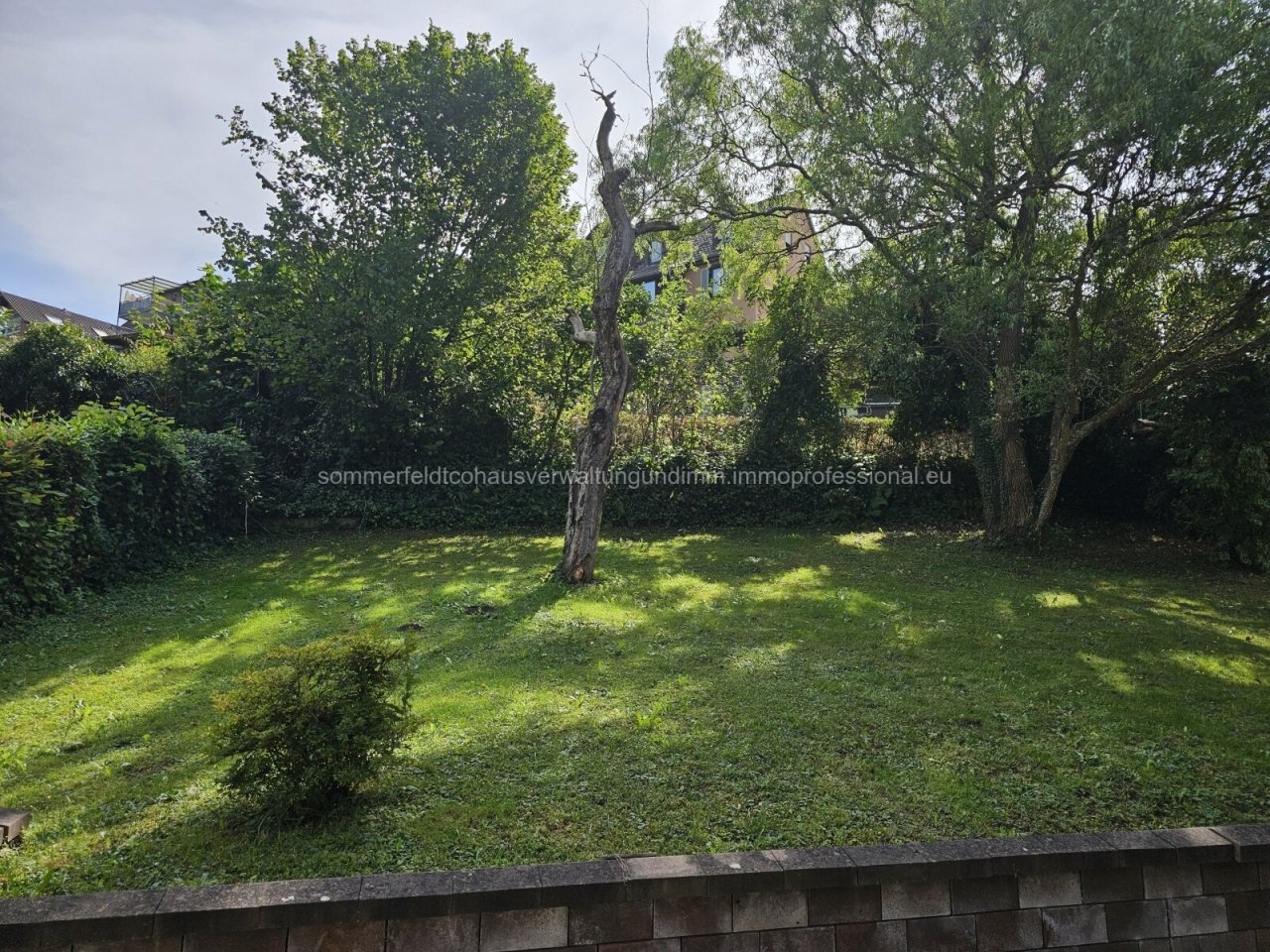 20240905 134043 20240905 134043