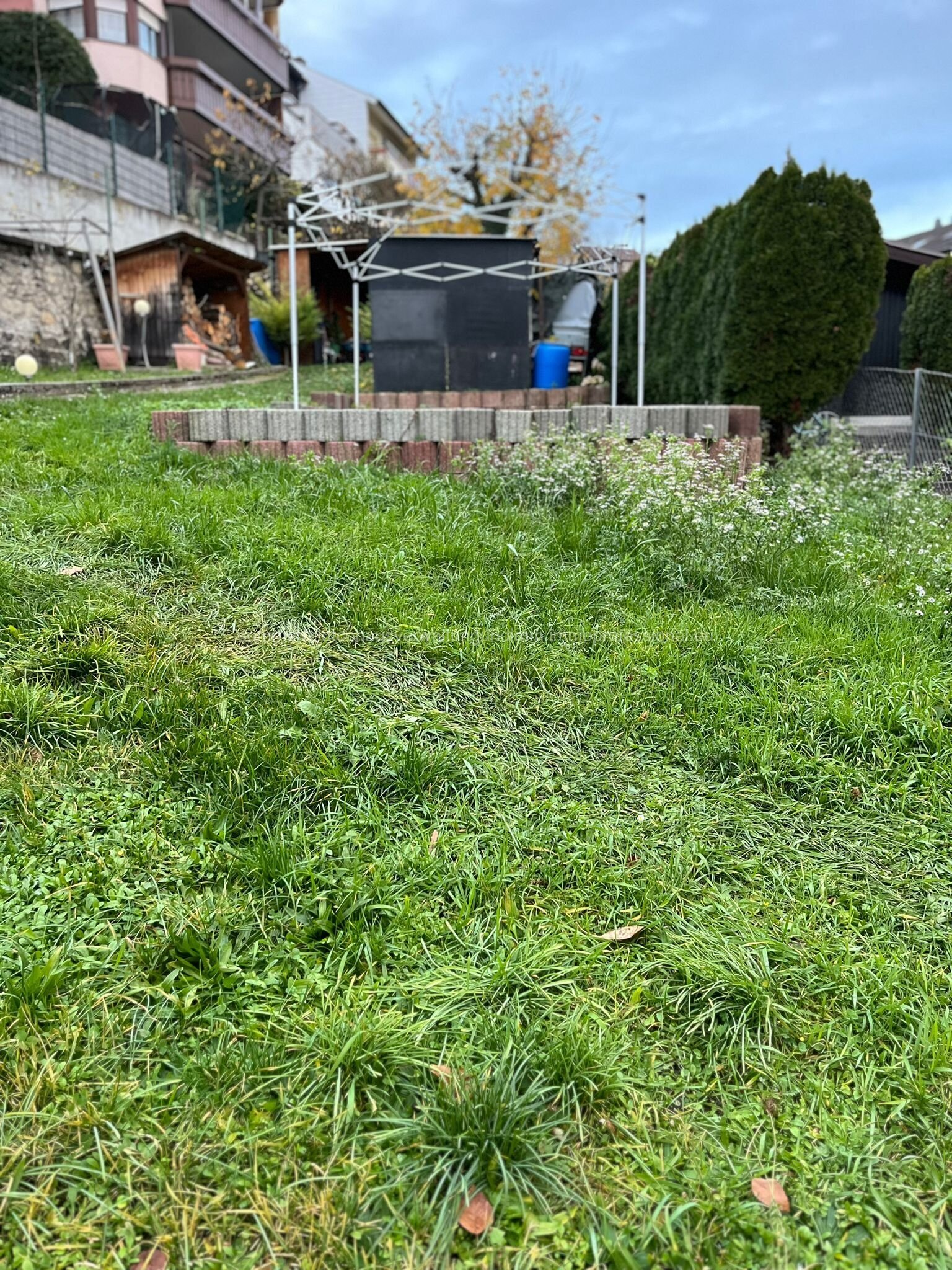 Garten/Terrasse