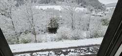 Ausblick Ausblick