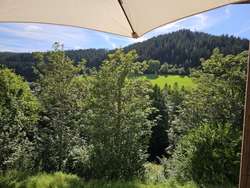 Ausblick